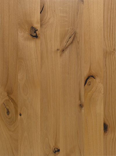 Alder-Knotty Knotty Alder