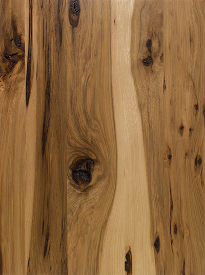Hickory-Rustic Rustic Hickory