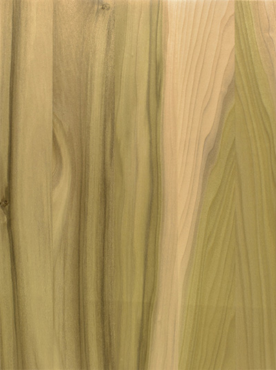 Poplar-Select Select Poplar